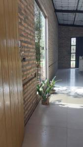a room with a plant next to a brick wall at La casita del lago in Ypacarai