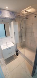 a bathroom with a white sink and a shower at studio indépendant aiton 73 in Aiton