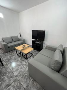 a living room with two couches and a television at Depto Diario en alquiler. Hasta 5 personas in Apóstoles
