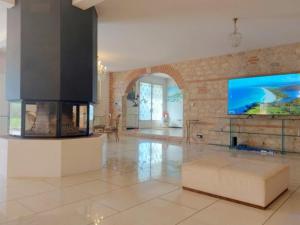 een woonkamer met een open haard en een televisie bij Le Mas des Catalanes in Perpignan
