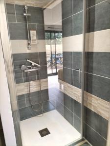a shower with a glass door in a bathroom at Les Iris in Les Herbiers