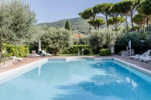 una gran piscina de agua azul en un patio en Algioja Apartment with Pool & Parking, en Passignano sul Trasimeno