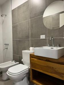 a bathroom with a toilet and a sink and a mirror at MODERNO DEPARTAMENTO PARA 3-4 PERSONAS, MUY BIEN UBICADO in Santiago del Estero