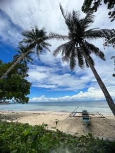 a boat on a beach with two palm trees at Mangkombong Homestay in Tapokreng