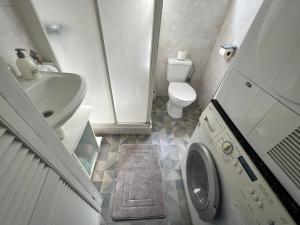 een kleine badkamer met een toilet en een wasmachine bij Ruime chalet midden in de natuur in Lith in Lith