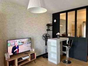 a living room with a flat screen tv sitting on a cabinet at Studio Bd Joseph Girod Clermont Centre in Clermont-Ferrand