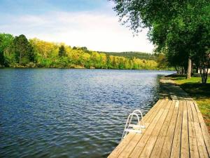 Gallery image ng Perfect Lake Retreat sa Hot Springs