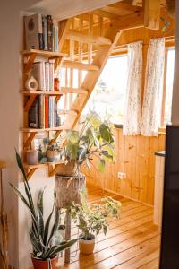 a room with bookshelves and potted plants in a house at Nonurban in Baj