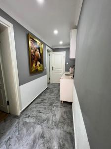 a kitchen with a counter and a painting on the wall at The Zanadu İstanbul in Istanbul