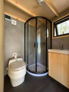 a bathroom with a shower and a toilet and a sink at Little house in Kongsvinger in Kongsvinger