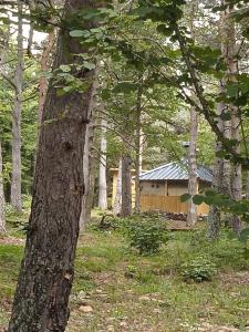 Φωτογραφία από το άλμπουμ του Chalet papillon Domaine de la Mamounette σε Boussoulet