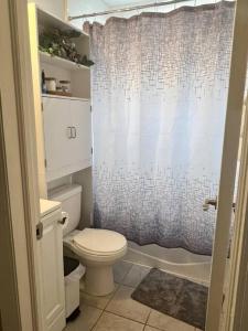 La salle de bains est pourvue de toilettes et d'un rideau de douche. dans l'établissement The Mockingbird Nest, à Charlotte