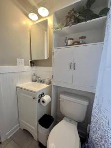 La petite salle de bains est pourvue de toilettes et d'un lavabo. dans l'établissement The Mockingbird Nest, à Charlotte