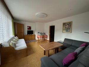 Posezení v ubytování Haus Saxer