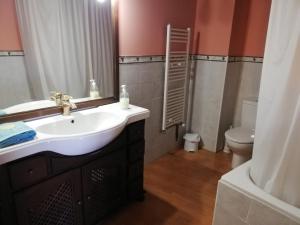 a bathroom with a sink and a toilet at LA FRAGUA - CASA RURAL EN VILLANUEVA DE GOMEZ (AVILA) in Villanueva de Gómez