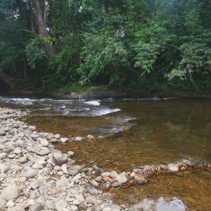 een rivier met rotsen en bomen op de achtergrond bij Homestay Saujana Harmoni D'Petron in Gua Musang