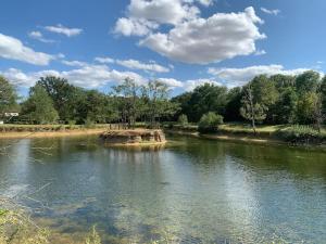 una pequeña isla en medio de un río en Studio rénové tout confort, en Donnery