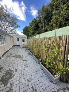 a backyard with a fence and some plants at Camellia Cottage: Courtyard Room in Cape Town