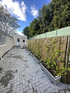 a backyard with a fence and some plants at Camellia Cottage - Courtyard Room in Cape Town