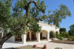 Zahrada ubytování Le Terrazze Miramare B&B
