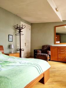 1 dormitorio con cama, silla y espejo en Polonia Tbilisi House, en Tiflis