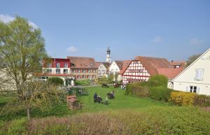 eine Gruppe von Tieren, die auf einem Feld in einem Dorf weiden in der Unterkunft Libelle in Colmberg