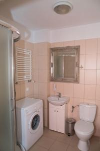 y baño con aseo, lavabo y lavadora. en Apartamenty Optimal, en Płock