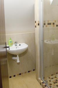 a bathroom with a sink and a shower at Rodinný penzion Skiland in Ostružná