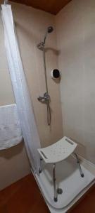 a shower in a bathroom with a sink and a toilet at La Huella del Peregrino in Palas de Rei