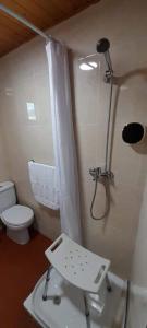 mała łazienka z prysznicem i toaletą w obiekcie La Huella del Peregrino w mieście Palas de Rei 