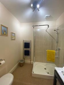 a bathroom with a shower and a toilet and a sink at 5A - ‘Your Place’ A Unique Space to make your own. in Elloughton