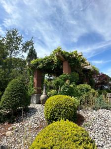 een tuin met een gebouw bedekt met planten bij The Wind in the Willows - Luxury Lakefront Oasis in Cobourg