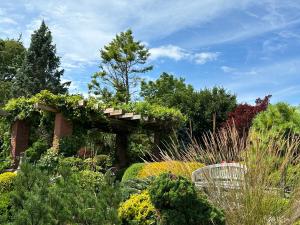 een tuin met een houten pergola en planten bij The Wind in the Willows - Luxury Lakefront Oasis in Cobourg