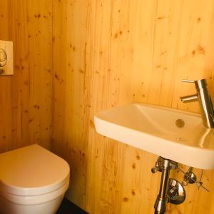een badkamer met een toilet en een wastafel bij Luciz’ in Hunawihr
