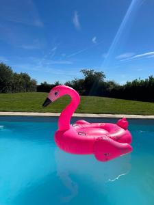 un flotador de flamenco rosa en una piscina en Le Bain des Hirondelles, en Sprimont
