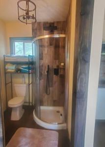 a bathroom with a shower and a toilet at Waterfront Treehouse in a Magical Forest in Waller