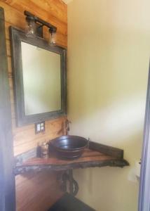 a bathroom with a sink and a mirror on a wall at Waterfront Treehouse in a Magical Forest in Waller