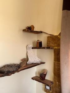 a room with three wooden shelves on the wall at People to People Hostel Siwa in Siwa