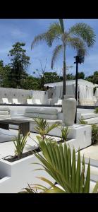 um pátio com cadeiras e plantas e uma palmeira em RUNIK Siquijor - Adults Only em San Juan