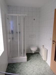 łazienka z prysznicem i toaletą w obiekcie haustierfreundliche Ferienwohnung Greifenbach w mieście Geyer