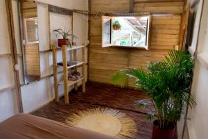 Una habitación con una habitación con plantas. en Casa Caracol en Montañita