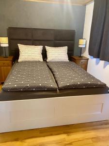 1 cama con 2 almohadas en una habitación en Ferienwohnung in Stein AR, en Stein