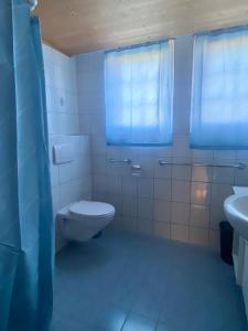 a bathroom with a toilet and a sink at Ferienwohnung in Stein AR in Stein