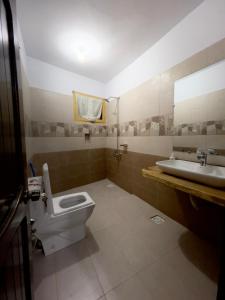 La salle de bains est pourvue de toilettes et d'un lavabo. dans l'établissement Lavender Cottage and Guest House, à Skardu