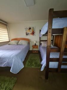 sypialnia z 2 łóżkami piętrowymi i drabiną w obiekcie Hospedaje Myrtha w mieście Temuco