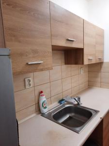 Dapur atau dapur kecil di Apartmány Skalice