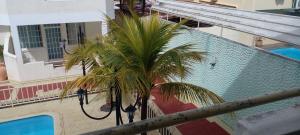 Bazén v ubytování White house nebo v jeho okolí