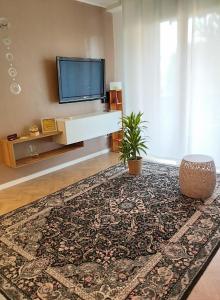 a living room with a television and a rug at La Dama dei Fiori in Vimercate