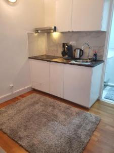 małą kuchnię ze zlewem i dywanem w obiekcie Studio/Bourget/CDG/Villepinte w mieście Aulnay-sous-Bois