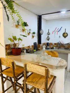 a kitchen with a counter with plants on the wall at Casa Caracol in Montañita